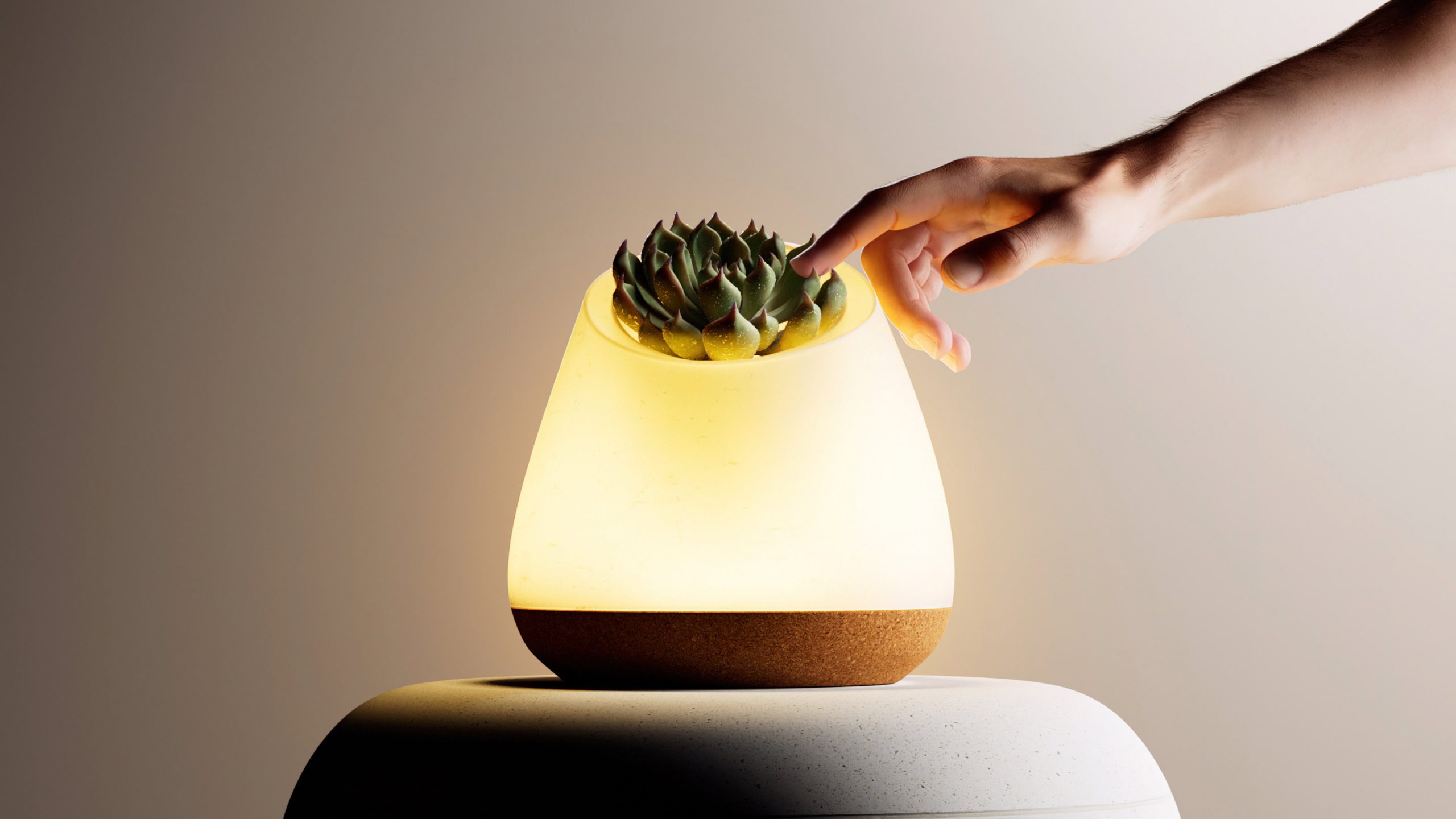 CGI product scene of a sculptural lamp with a plant