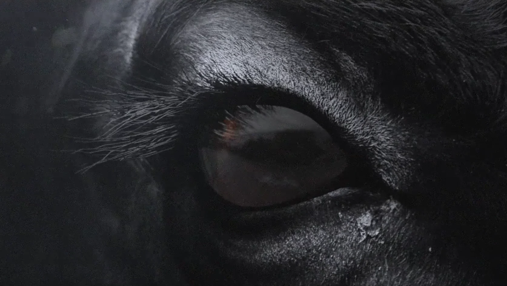 10 Powerful MotionGraphics studios in Madrid. Image of Stracto.