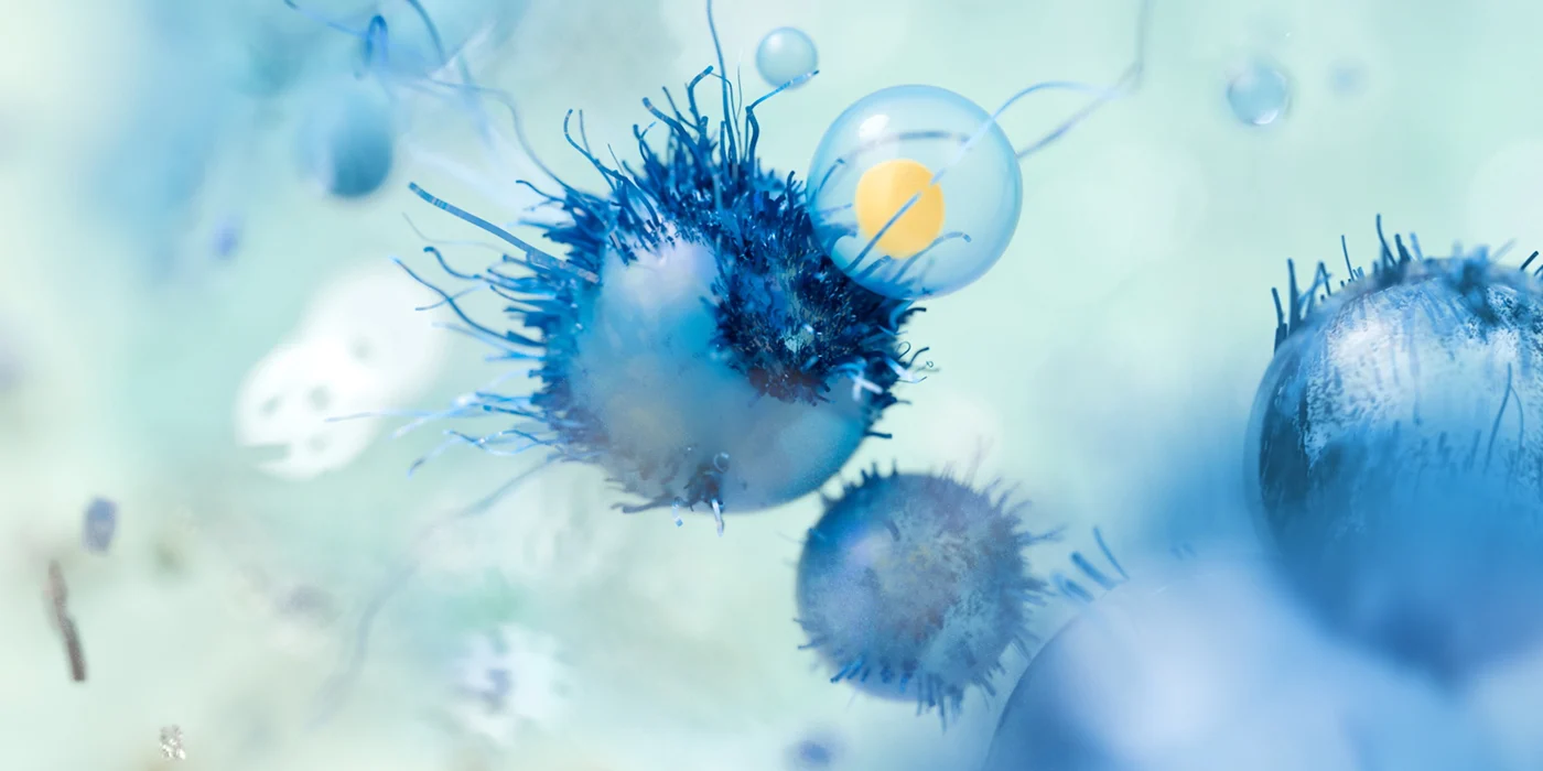 10 Powerful MotionGraphics studios in Madrid. Image of Pleid
