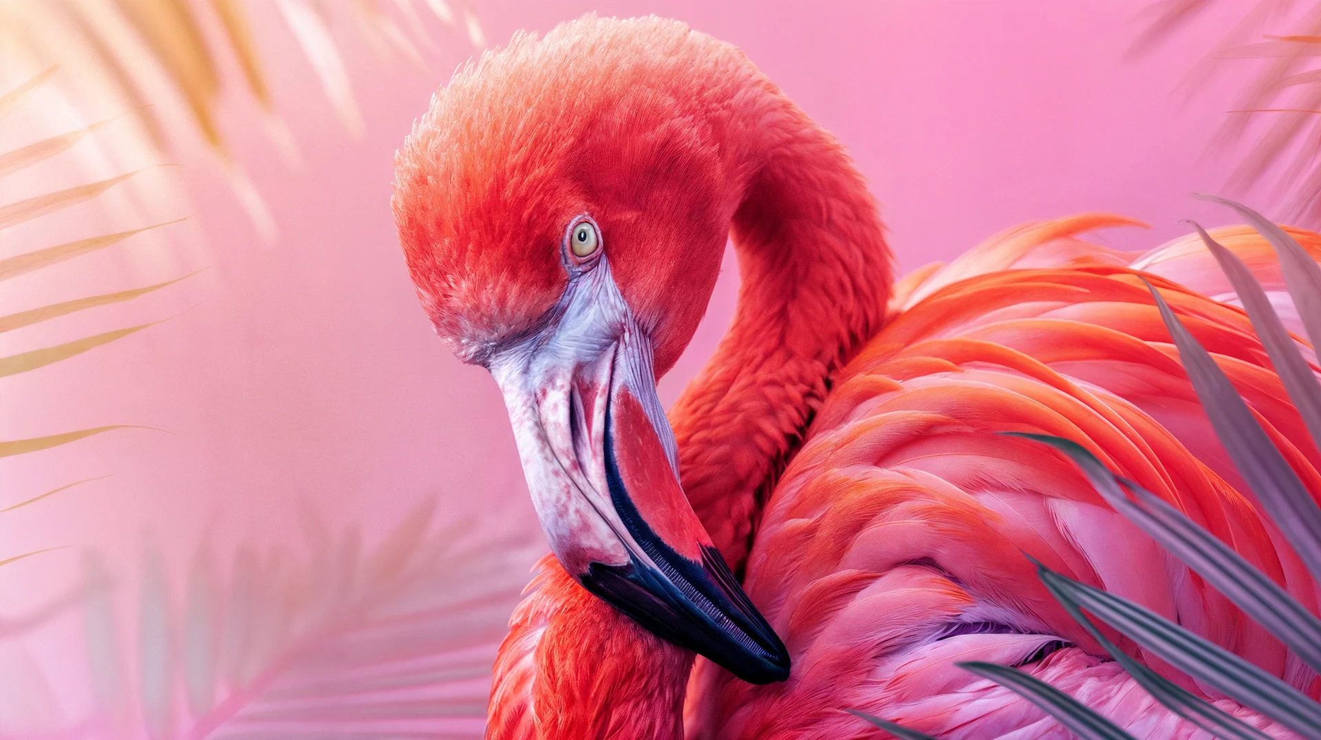 Cinematic flamingo portrait created with premium CGI
