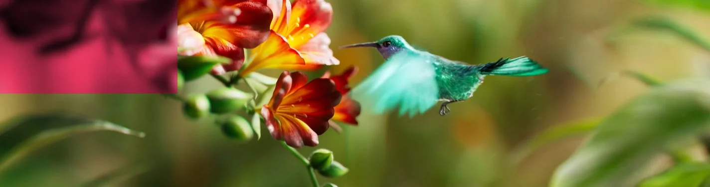 Colibrí en CGI volando entre flores en un entorno natural
